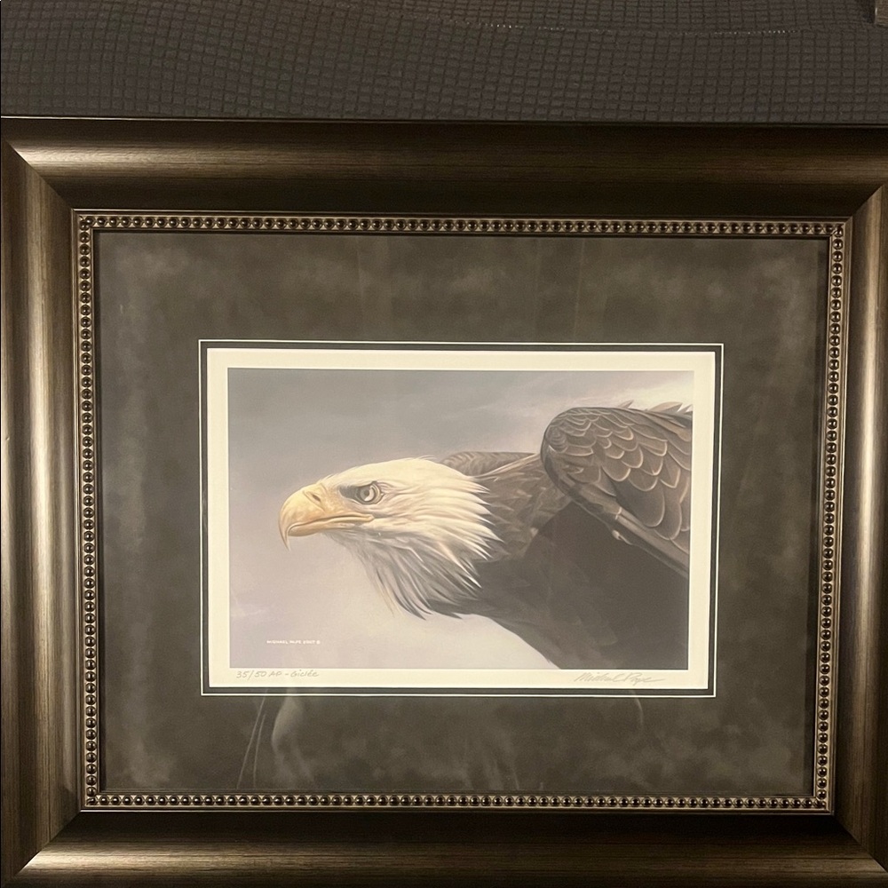 Framed Bald Eagle Art Print